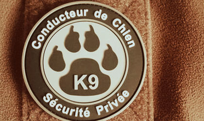 formation Chien de sécurité