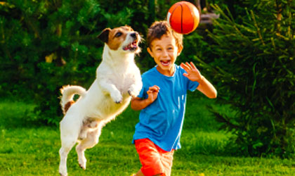 Cours chien de Famille