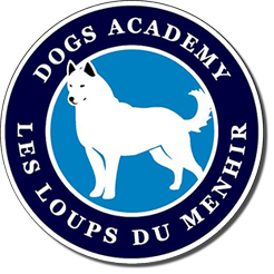 Cours chiens Les Loups du Menhir Dog Academy